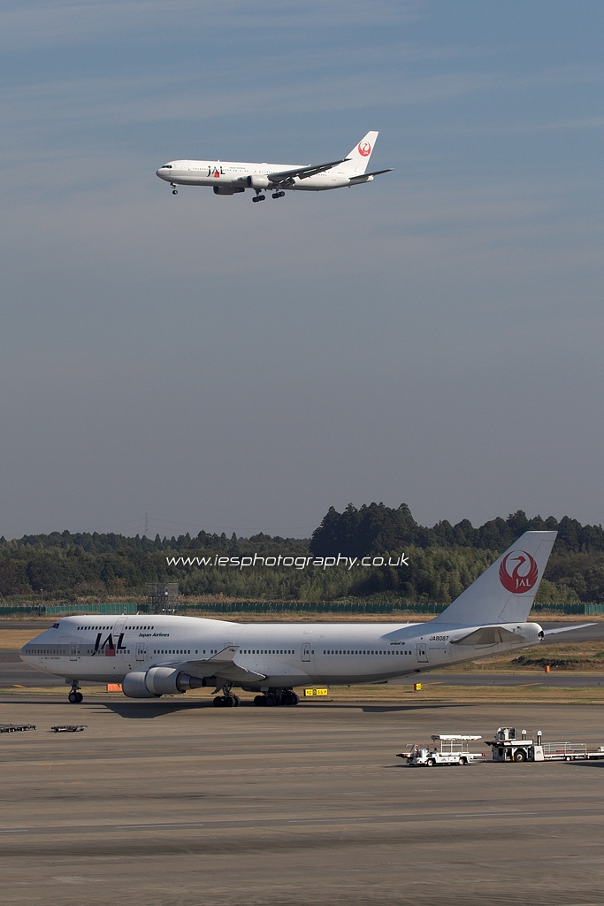 JAL Japan Airlines 0031.jpg - Japan Airlines - JAL - For usage please contact info@iesphotography.co.uk